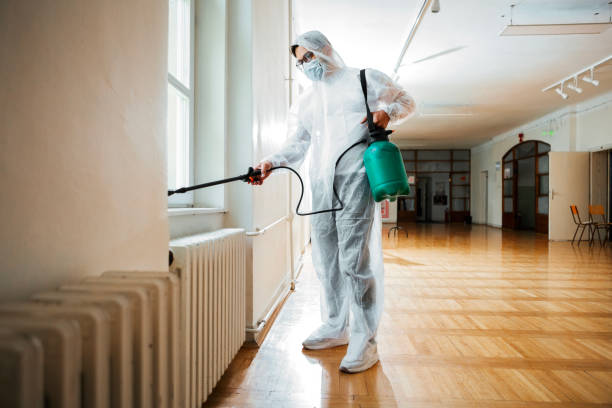 Professional Pest Control in Spruce Pine, NC